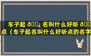 车子起 🌿 名叫什么好听 🐅 点（车子起名叫什么好听点的名字）